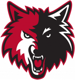 live turkey soccer news on iphone ipad and android on smartkanal com