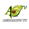 Aguacate TV